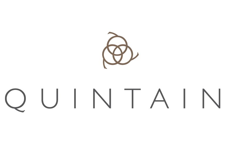 Quintain logo