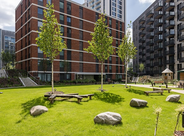 Development Advisory